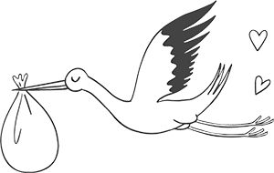 Storch